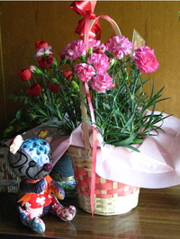 くまのぬいぐるみ