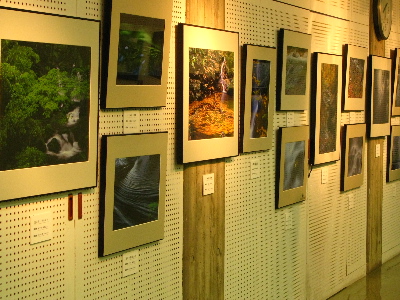 写真家のコーナー3