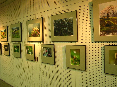 写真家のコーナー1