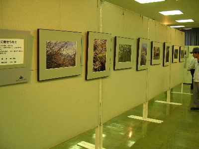 写真家のコーナー2