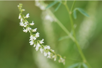 調べ切れなかった2