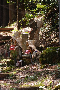 霊場88箇所めぐり2