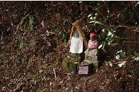 霊場88箇所めぐり7