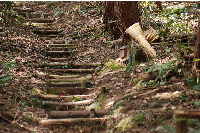 霊場88箇所めぐり3