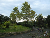 但馬高原植物園