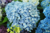 舞鶴自然文化園1