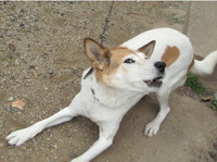 また怒らしてしまったようです