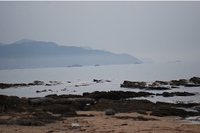 箱石浜で撮影した画像2