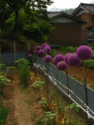 ちょっと面白い
