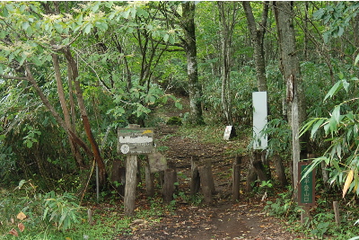 登山道大段ヶ平コース