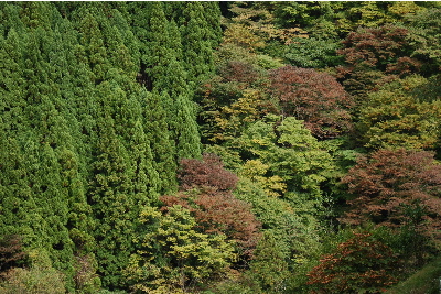 この辺りでは、もう少し