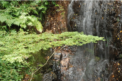 周辺の滝