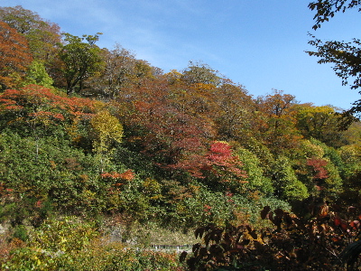 振り返っても、目の前も紅葉
