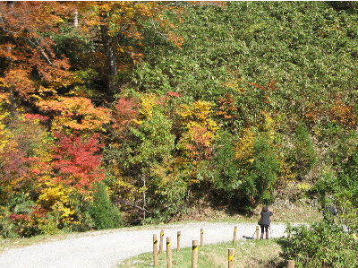 撮影にこられている人