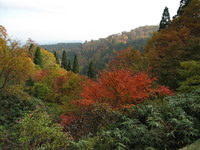 再び800メートル付近