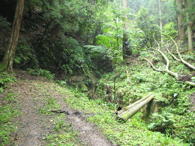 結構荒れています3