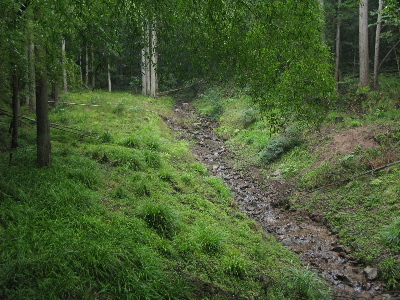 こんな川沿いを2