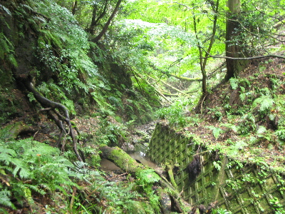 結構荒れています