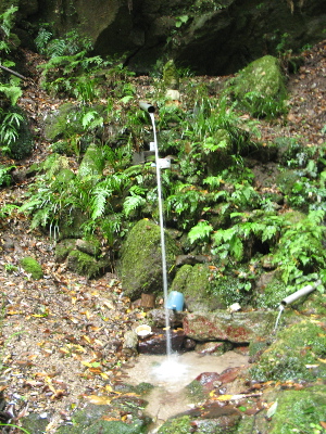 少し淋しいですが