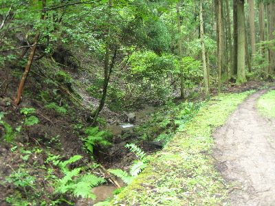 結構荒れています2