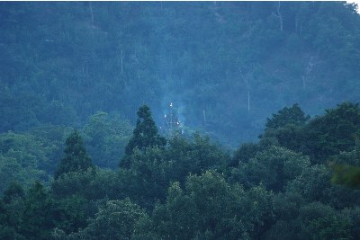 ようやく撮影できた写真