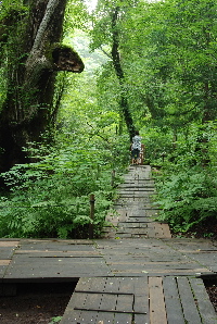 撮影しているのだろう