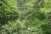 但馬高原植物園