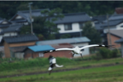 あわててシャッター