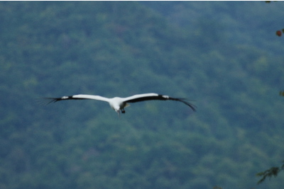 あわててシャッター