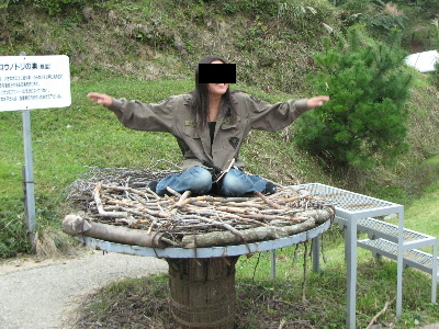 女性が巣に上って