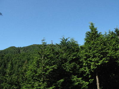 時々見えるきれいな景色3