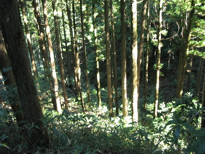 時々見えるきれいな景色