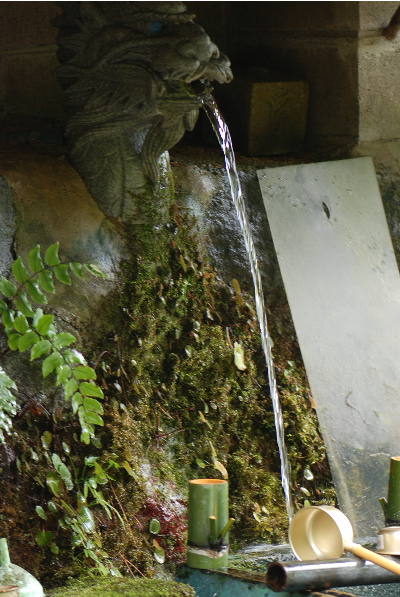 天長の湧き水2