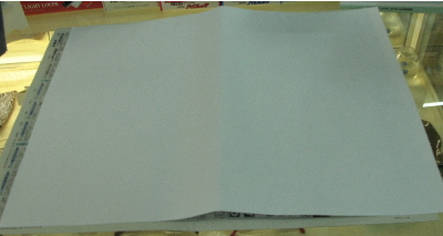 御幣を切りました