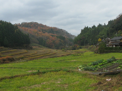 田園風景.jpg