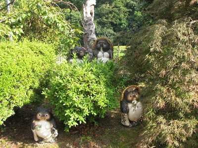 狸のファミリー