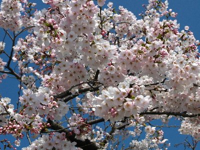 大津パーキングエリア