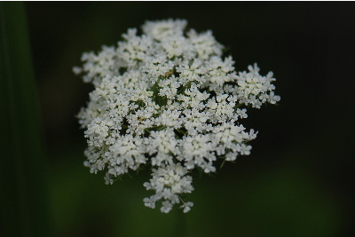 調べ切れなかった1