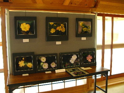 写真展(浜辺に咲く花)2