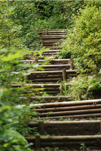 散歩道への階段