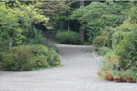 如意寺さんに参拝