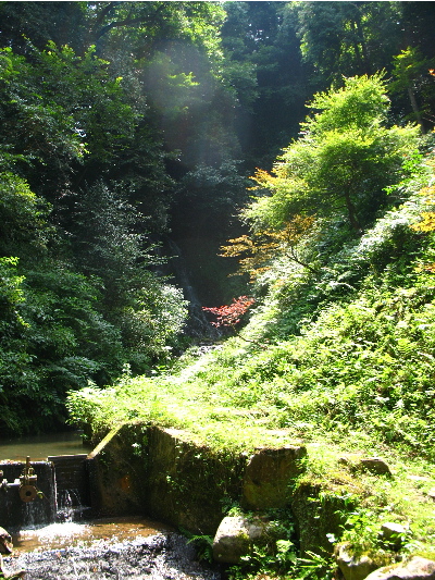 もやがかかっているような