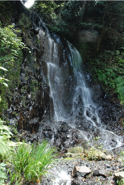 不動明王が彫られているという事