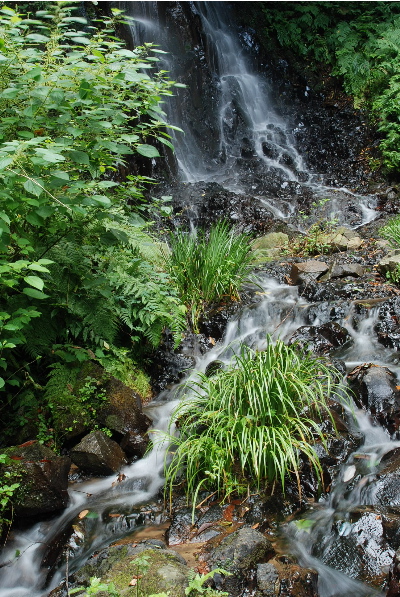 勢いよく落ちる滝