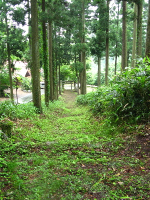 不思議な出会い