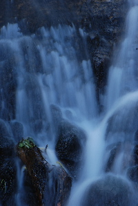 相変わらずの写真