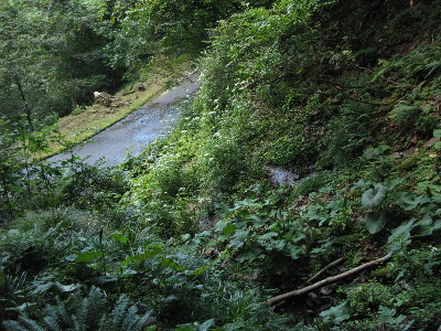 このような斜面