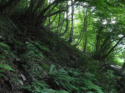 このような斜面2