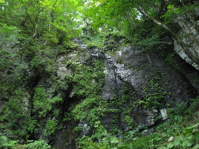 黒い大きな岩盤