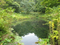 但馬高原植物園